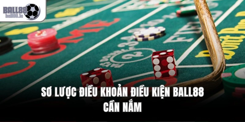 Sơ lược điều khoản điều kiện Ball88 cần nắm