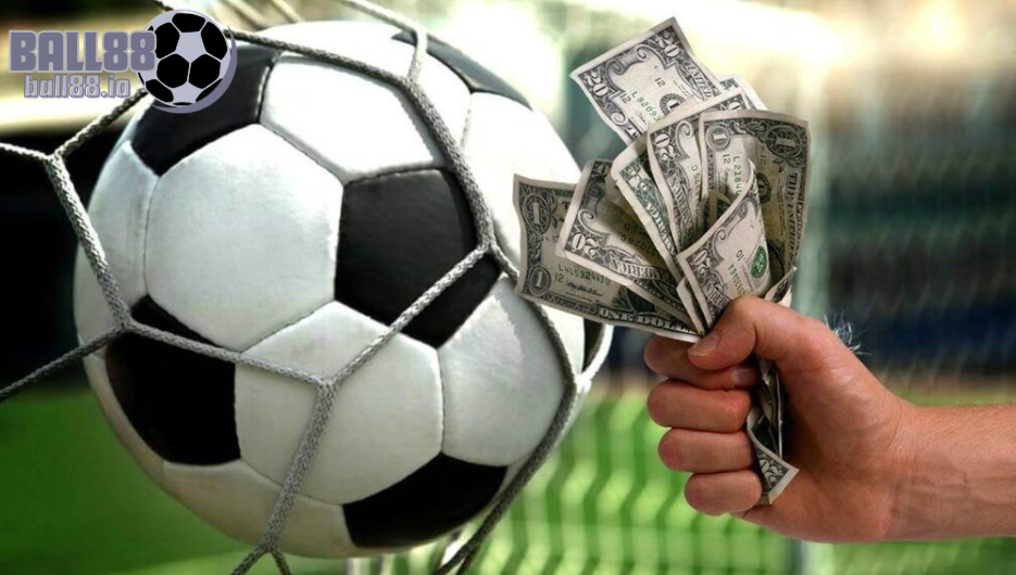 Những người chơi chuyên nghiệp không hoạt động đơn lẻ